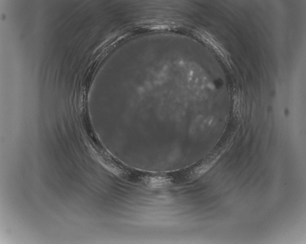 X0000085820165200703301603