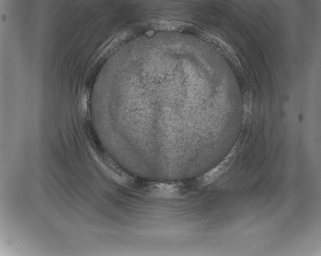 X0000085820166200703301603