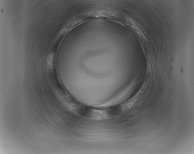 X0000085820167200703301603