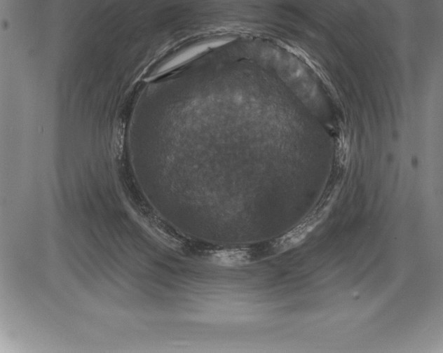 X0000085820168200703301603