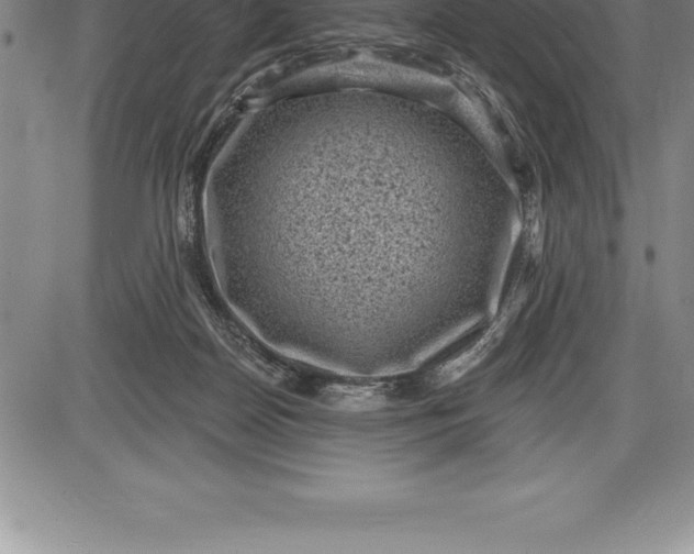 X0000085820170200703301603