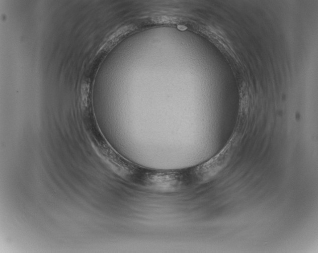 X0000085820171200703301603