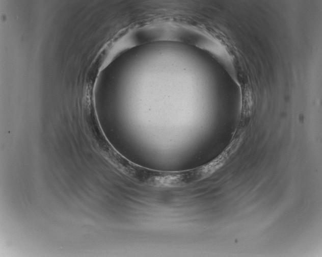 X0000085820172200703301603