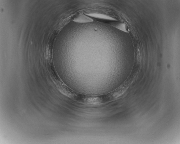 X0000085820173200703301603