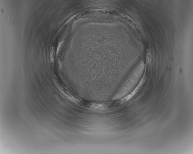 X0000085820174200703301603