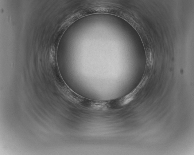 X0000085820175200703301603