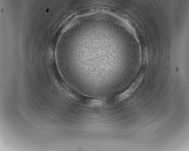 X0000085820176200703301603