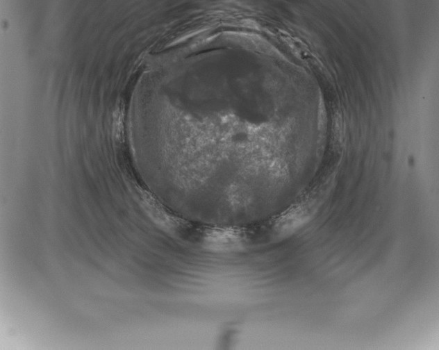 X0000085820177200703301603