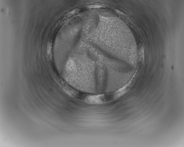 X0000085820178200703301603