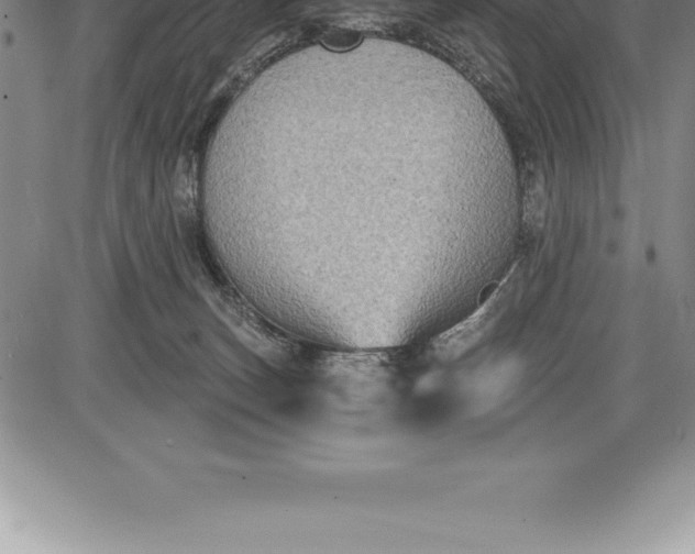 X0000085820179200703301603