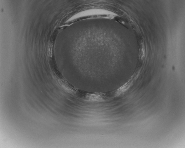 X0000085820180200703301603