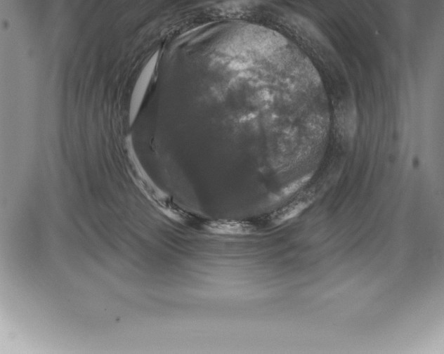 X0000085820181200703301603