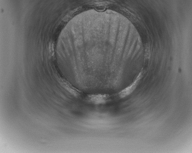 X0000085820182200703301603