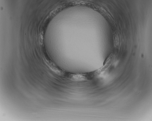 X0000085820183200703301603