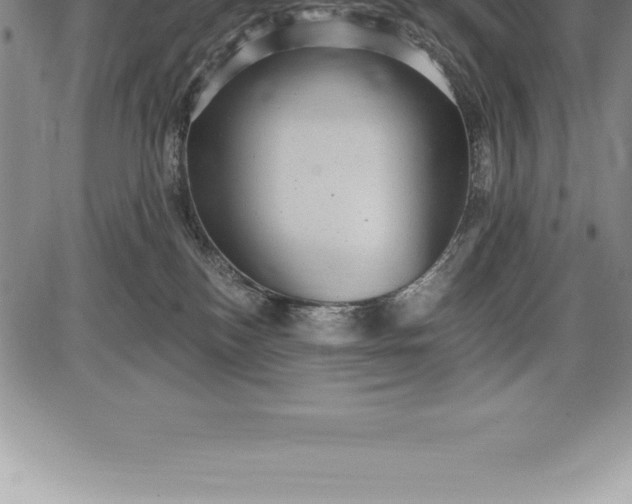 X0000085820184200703301603