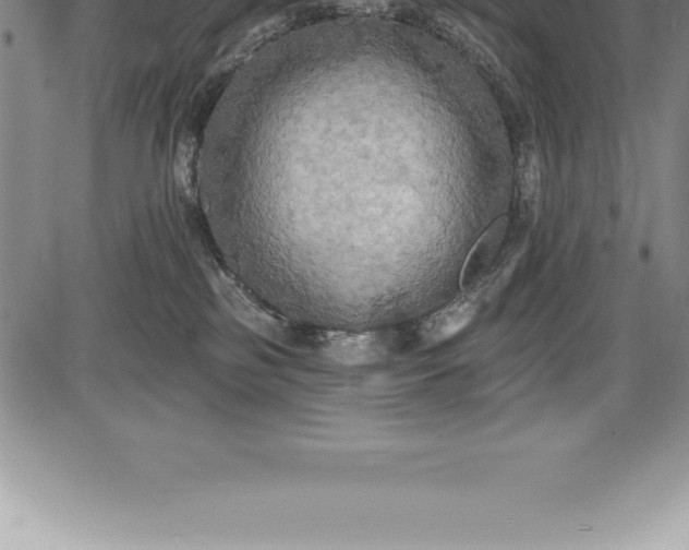 X0000085820185200703301603