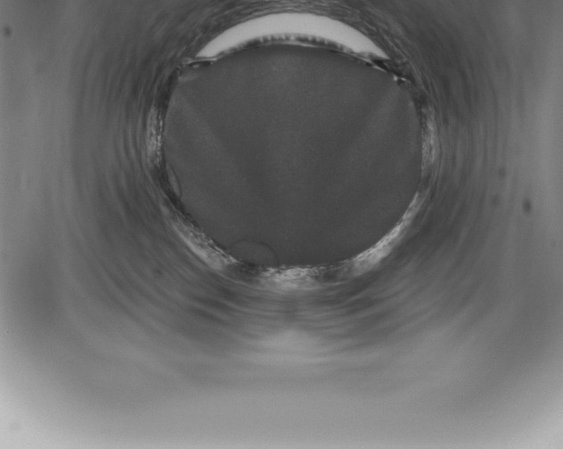 X0000085820186200703301603