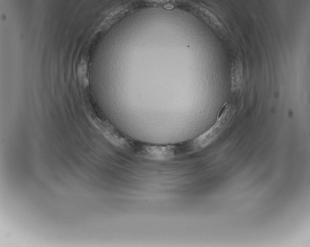 X0000085820187200703301603