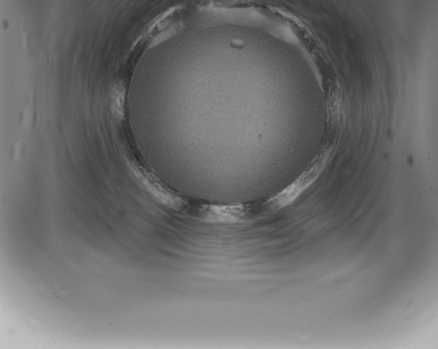 X0000085820188200703301603