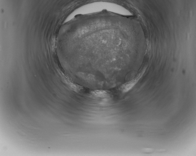 X0000085820189200703301603