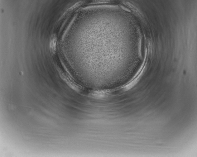 X0000085820190200703301603