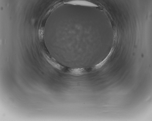 X0000085820191200703301603