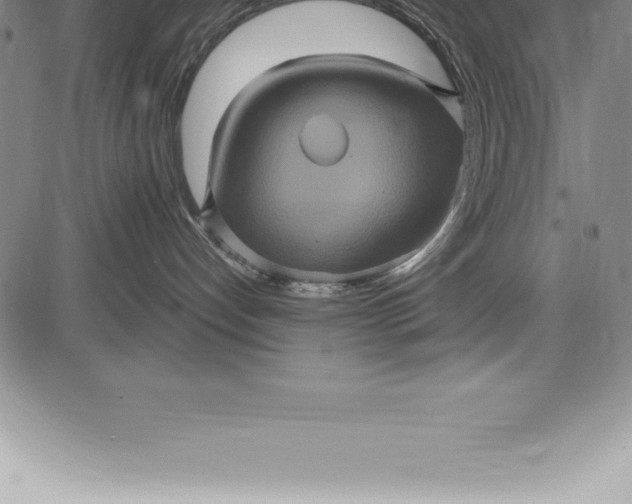 X0000085820192200703301603