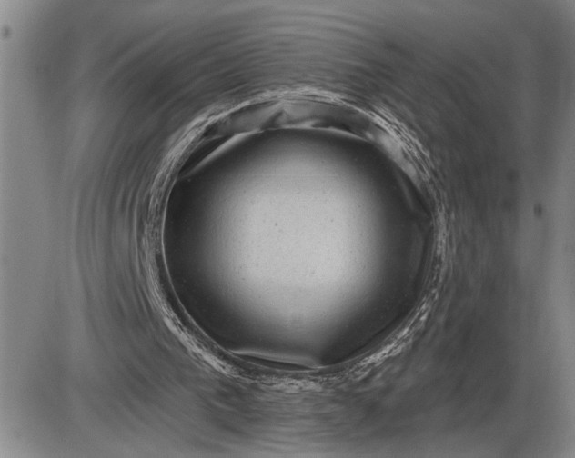 X0000085820193200703301602