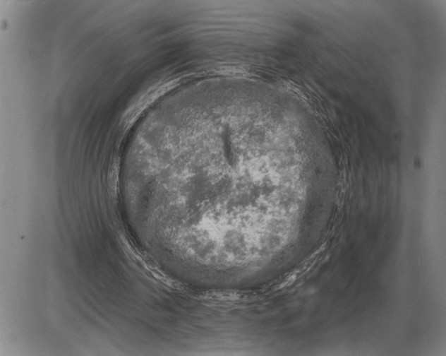 X0000085820194200703301602