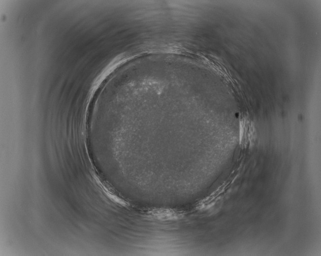 X0000085820195200703301602