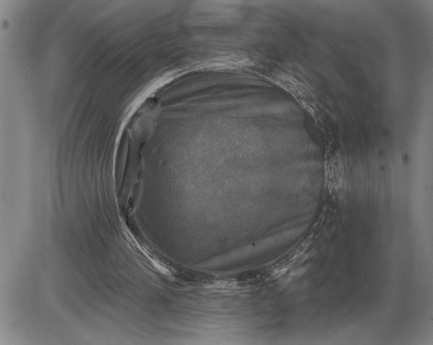 X0000085820196200703301602