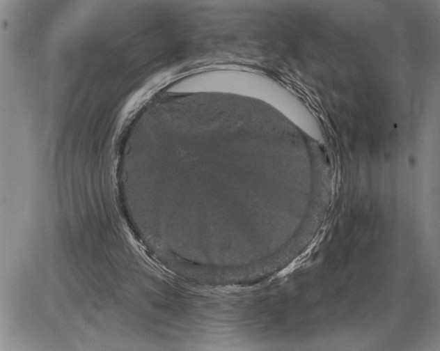 X0000085820197200703301602