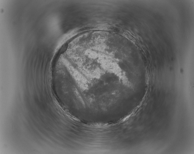 X0000085820198200703301602