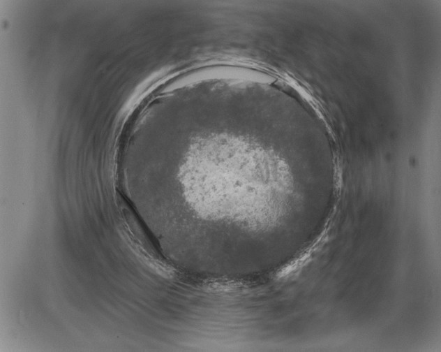 X0000085820199200703301602