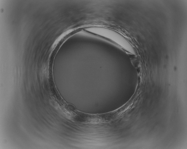 X0000085820200200703301602