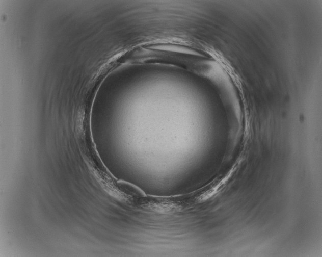 X0000085820201200703301602