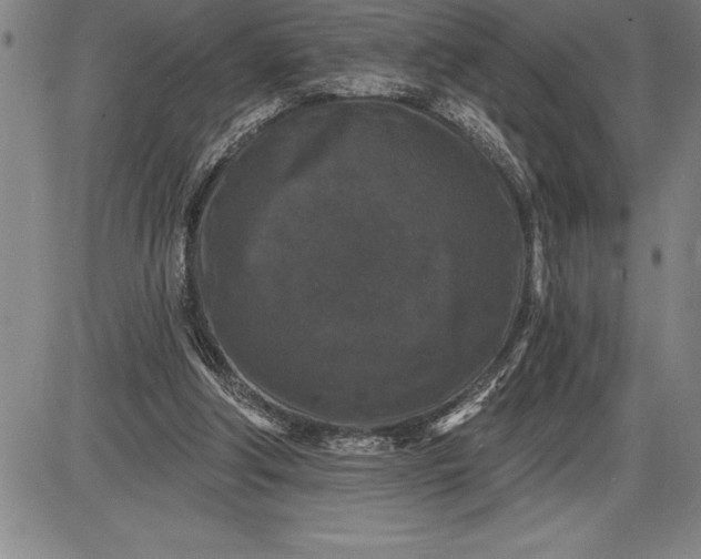 X0000085820202200703301602