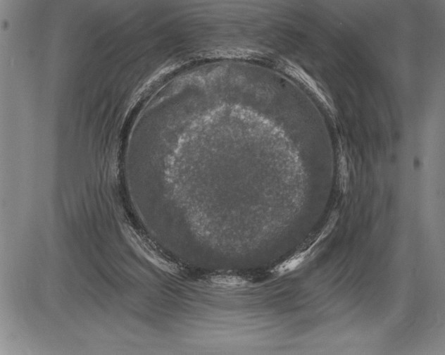 X0000085820203200703301602