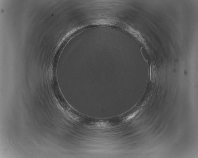 X0000085820204200703301602