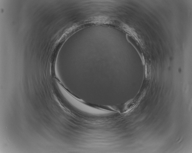 X0000085820205200703301602