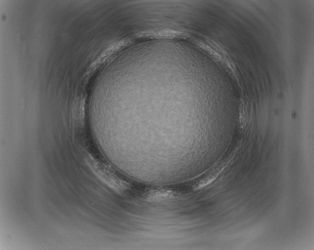 X0000085820206200703301602