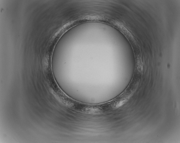 X0000085820208200703301602