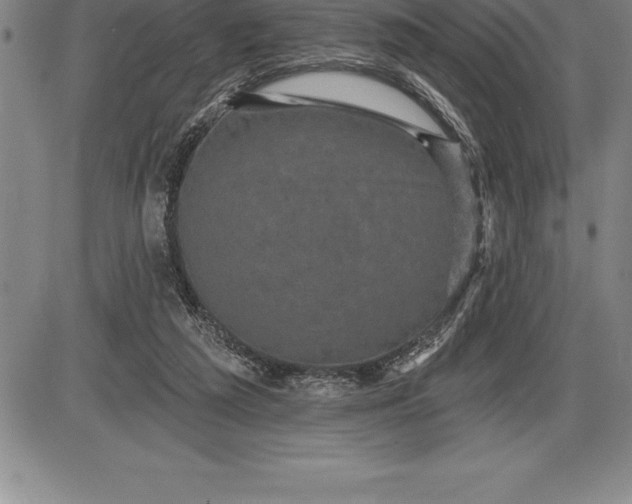 X0000085820209200703301602