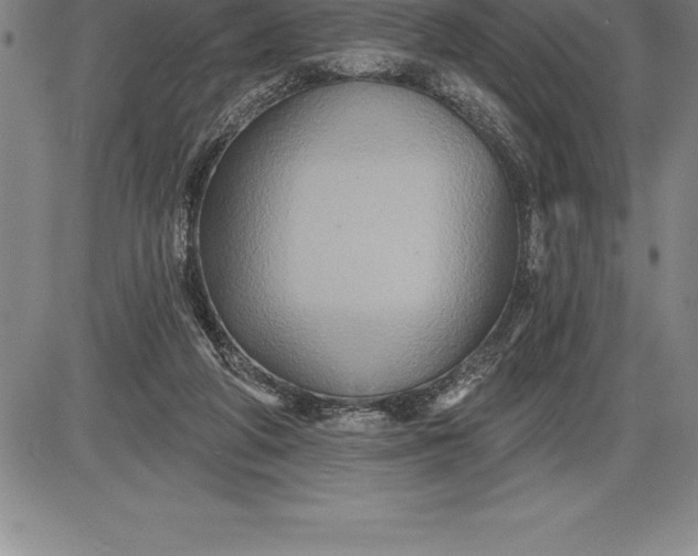 X0000085820210200703301602