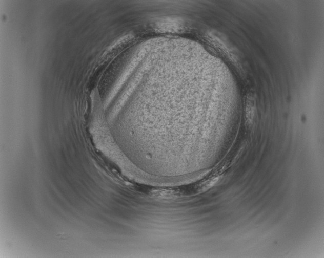 X0000085820211200703301602