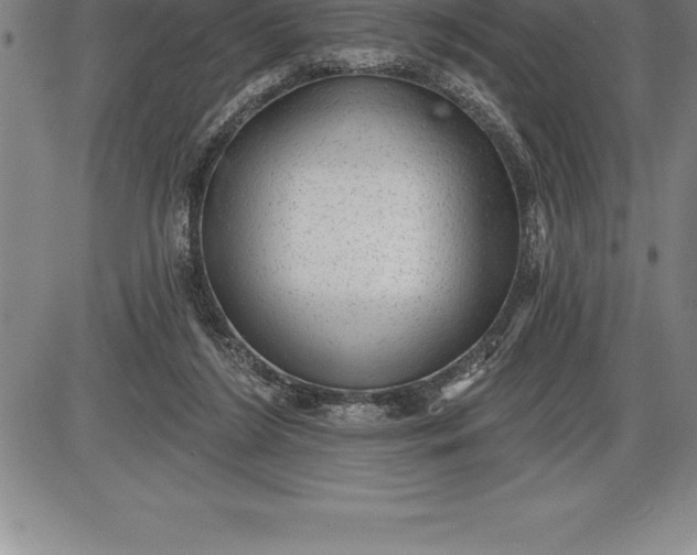 X0000085820212200703301602