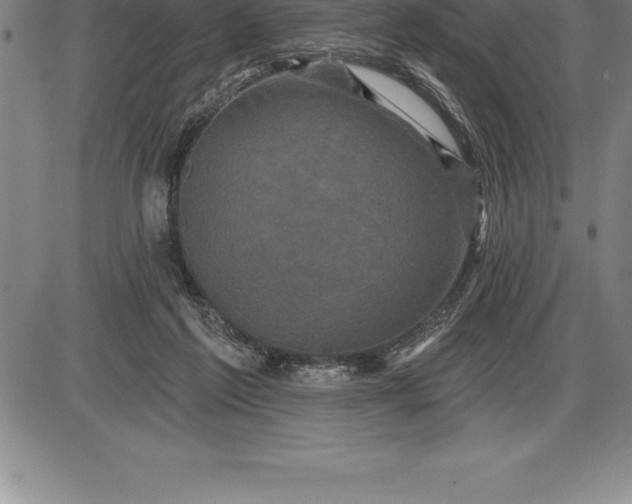 X0000085820213200703301602