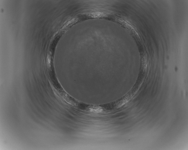 X0000085820214200703301602