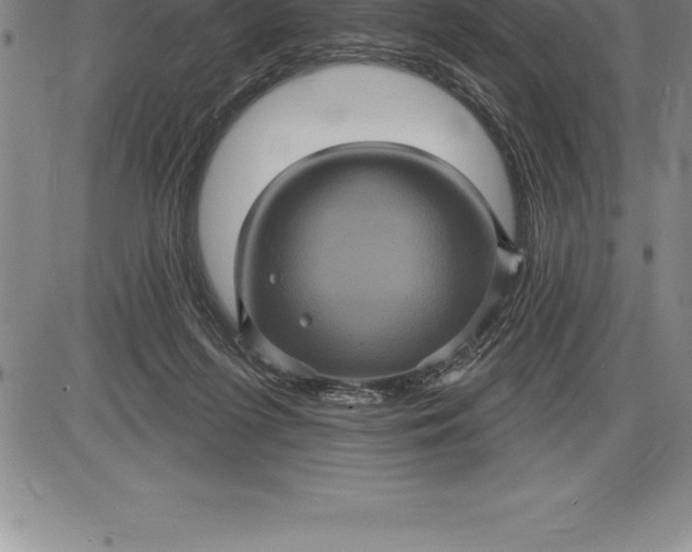 X0000085820215200703301602