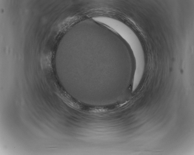 X0000085820217200703301602